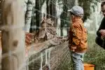 un petit garçon au zoo